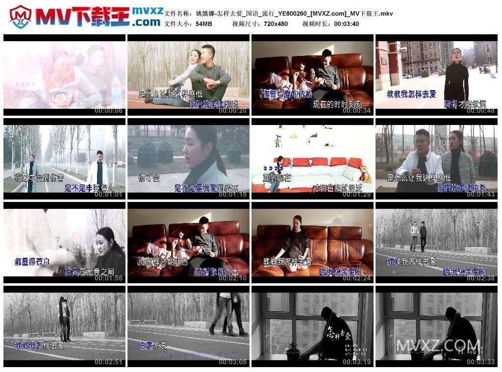 姚懿娜-怎样去爱_国语_流行_YE800260